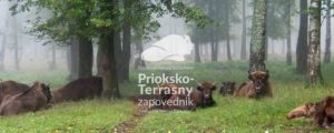 WWFF expedition R3ARS to Prioksko-Terrasny Reserve 29 September - 2 October 2020