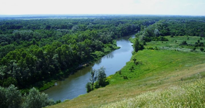 Saratov region nature reserves on air on September 29 - October 4, 2020